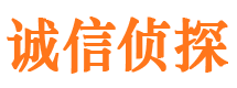 乐山捉小三公司